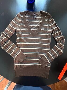 Fossil Brown Sweater with Blue and White Stripes